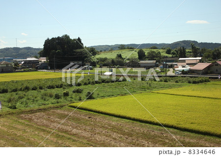 宮城県柴田郡大河原町の田園風景 8334646