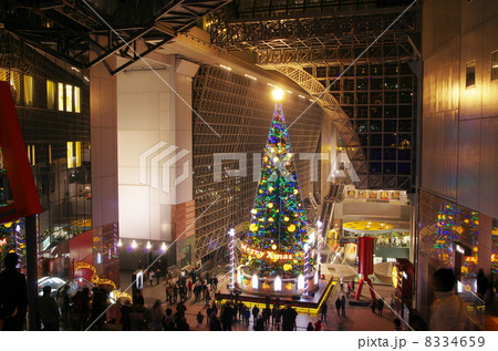 クリスマスツリー 8334659