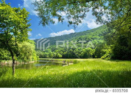 summer landscape 8335708