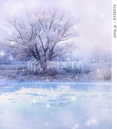 winter magic landscape - snowfall over lake and tree winter magic landscape - snowfall over lake and tree 8336020