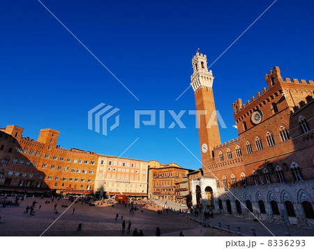 City Hall in Siena, Italy City Hall in Siena, Italy 8336293