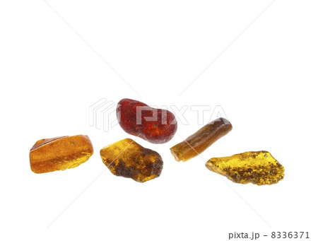 Amber, Poland Amber, Poland 8336371