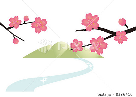桜 8336416