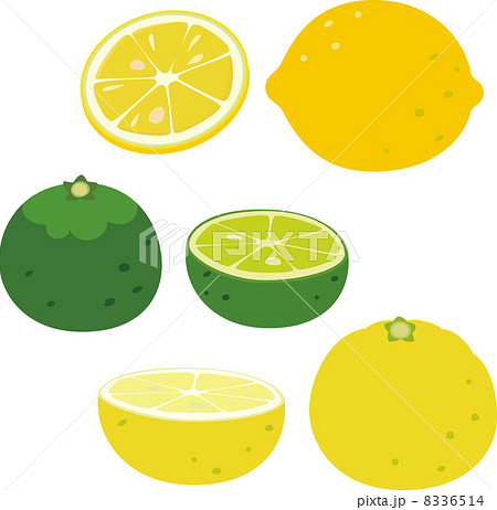 レモンとすだちとゆずのイラスト素材