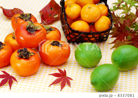秋の味覚 秋の味覚 8337081