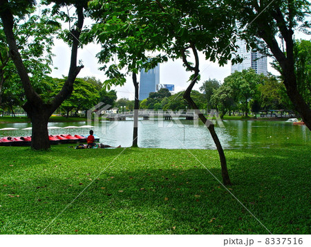 ルンピニー公園の人工池(バンコク/タイ王国) ルンピニー公園の人工池(バンコク/タイ王国) 8337516