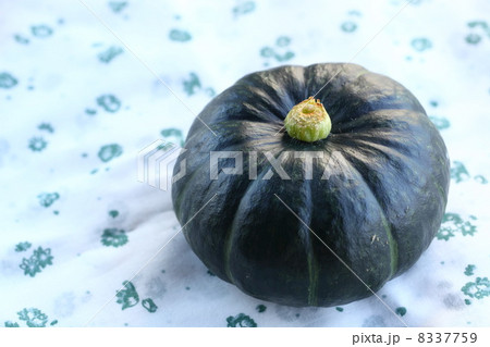 南瓜(坊ちゃんかぼちゃ) 南瓜(坊ちゃんかぼちゃ) 8337759