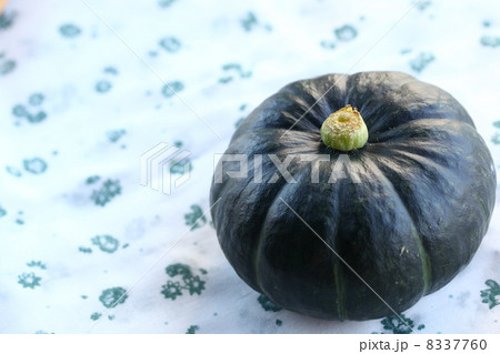 南瓜(坊ちゃんかぼちゃ) 南瓜(坊ちゃんかぼちゃ) 8337760