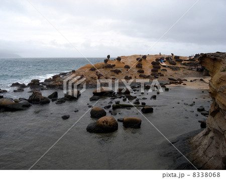 台湾　野柳地質公園 8338068