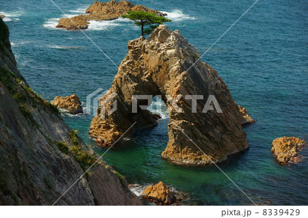 浦富海岸の千貫松島 8339429