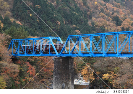 渡良瀬渓谷鉄道 8339834