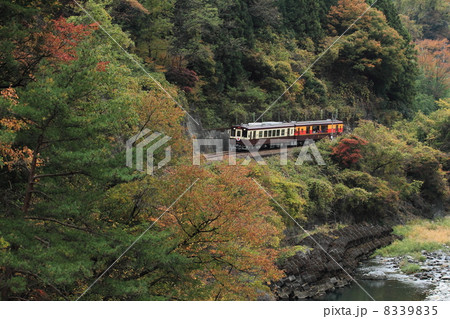 渡良瀬渓谷鉄道 8339835