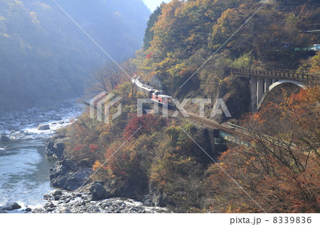 渡良瀬渓谷鉄道 8339836