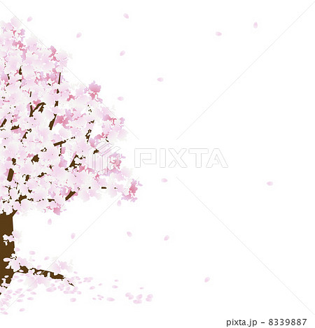 桜 ソメイヨシノ 桜の木 舞い散る 花びらのイラスト素材 397