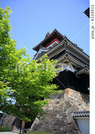 新緑と青空の清州城 8339915