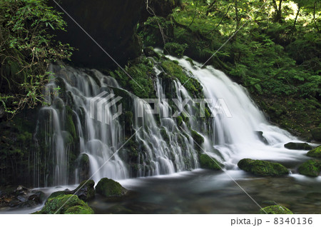 鳥海山伏流水 8340136