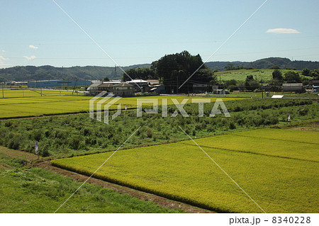 宮城県柴田郡大河原町の田園風景 宮城県柴田郡大河原町の田園風景 8340228
