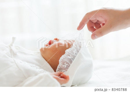 生後３週目 8340788