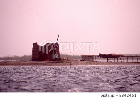 中州にある漁師小屋 8342461