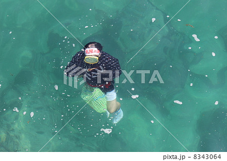 海女 8343064