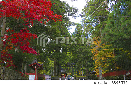 日光東照宮 8343532