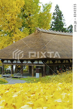 喜多方新宮熊野神社 喜多方新宮熊野神社 8343555