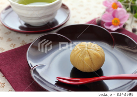 栗 和菓子 栗 和菓子 8343999