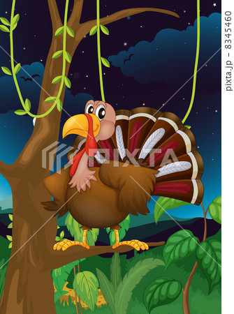 A turkey on a branch of a tree A turkey on a branch of a tree 8345460