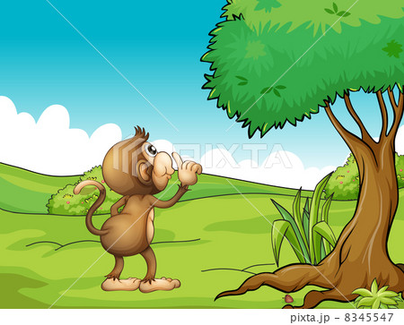 A monkey looking at the tree 8345547