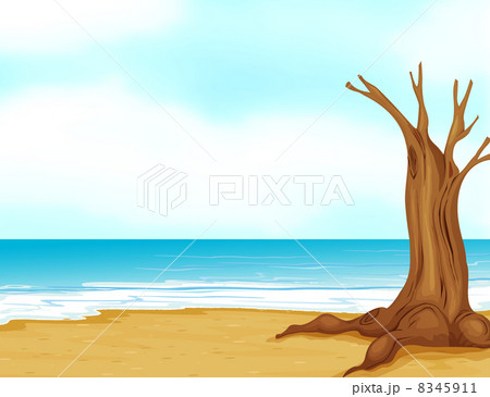 A tree without leaves near the beach A tree without leaves near the beach 8345911