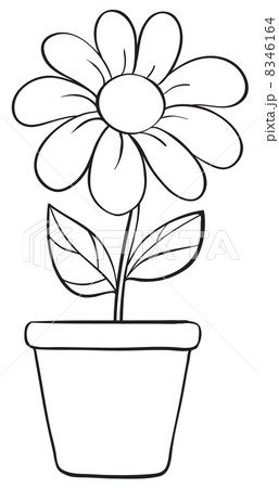 a flower and a pot sketch 8346164