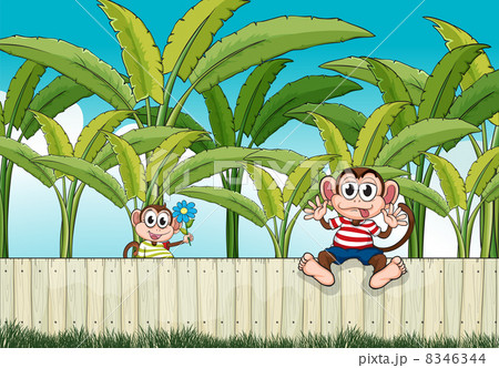 Two monkeys playing at the fence 8346344