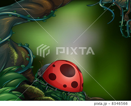 A ladybug 8346566