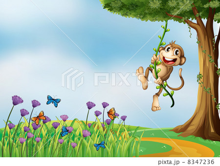 A monkey hanging on a vine plant 8347236