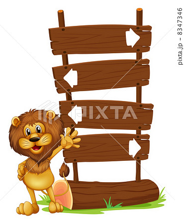 A lion and the wooden board A lion and the wooden board 8347346