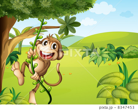 A hanging monkey and a beautiful nature 8347453