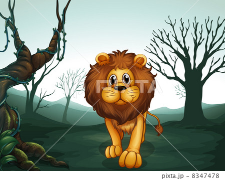A lion in a scary forest A lion in a scary forest 8347478