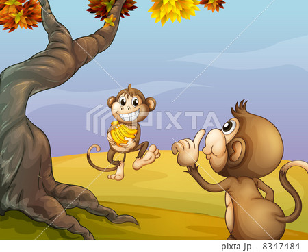 Two monkeys beside the big tree Two monkeys beside the big tree 8347484