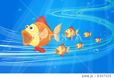 fish 8347520
