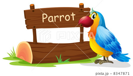 A colorful bird near a signboard 8347871