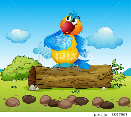 A colorful parrot A colorful parrot 8347963