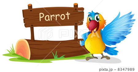 A colorful parrot beside a signboard A colorful parrot beside a signboard 8347989