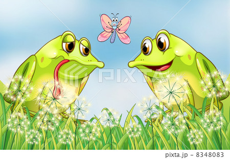 Two frogs and a butterfly at the garden Two frogs and a butterfly at the garden 8348083