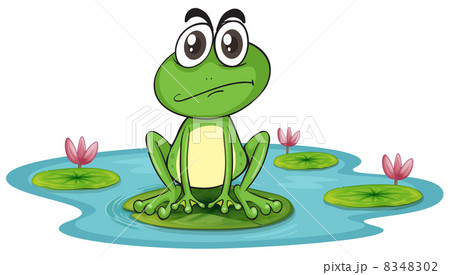 a frog 8348302