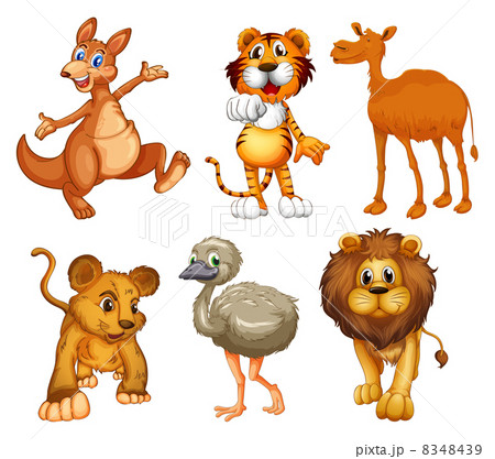 A group of wild animals 8348439