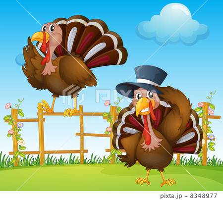 A turkey above the wooden fence and a turkey wearing a hat A turkey above the wooden fence and a turkey wearing a hat 8348977