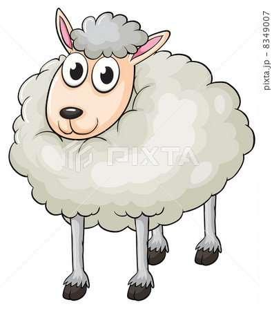 A sheep A sheep 8349007