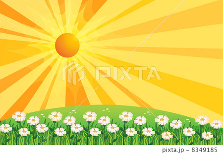 A garden of white flowers above the hills 8349185