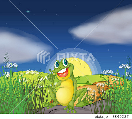 A frog at the top of the hill 8349287