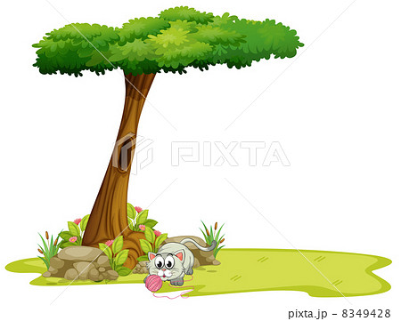 A cat playing under the tree A cat playing under the tree 8349428